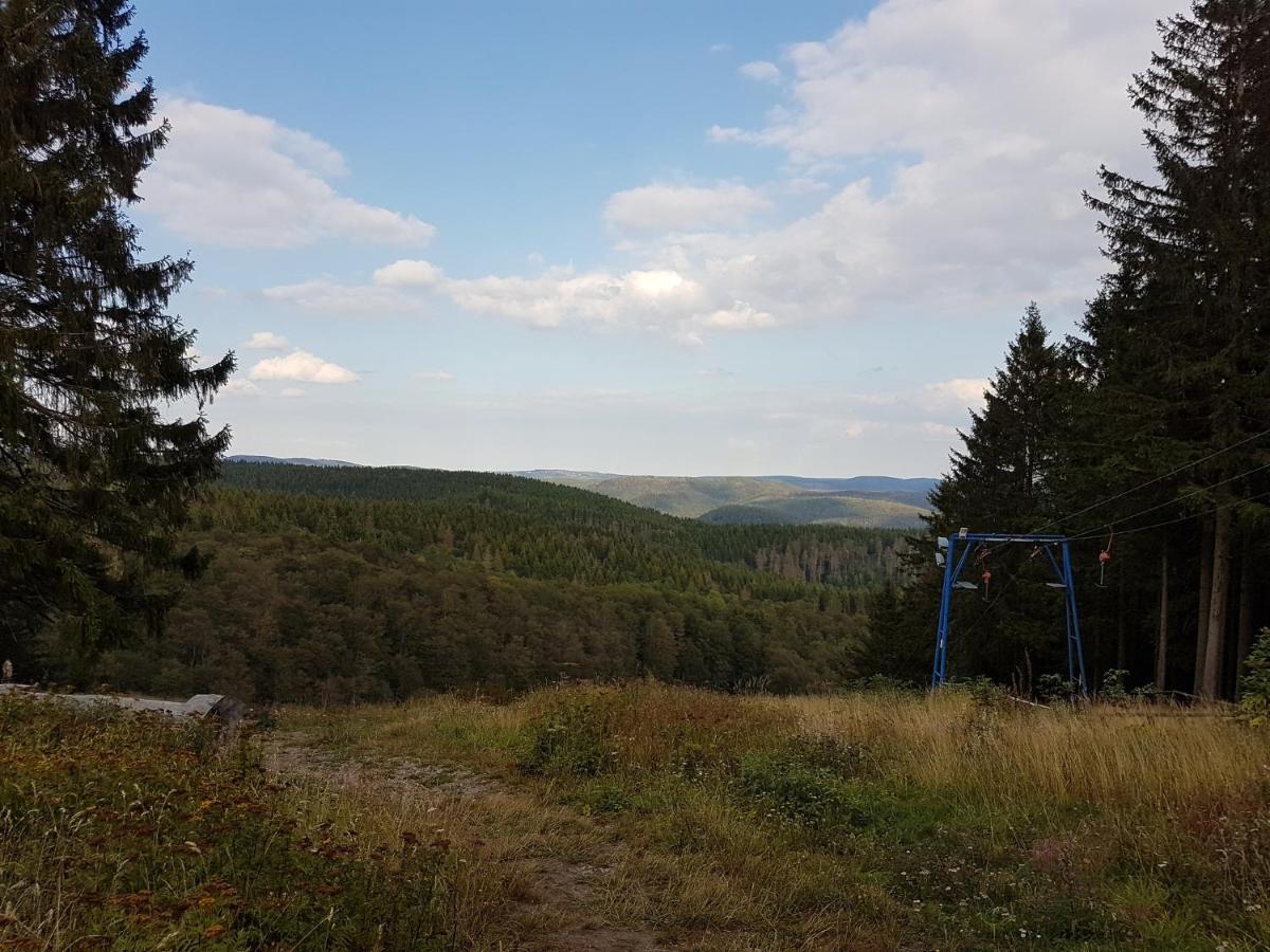 Ferienwohnungen Harz - Wieda ภายนอก รูปภาพ